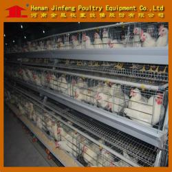 chicken breeding cage plant