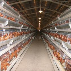 chicken farm equipment,automatic hot-dipped galvanized chicken cage