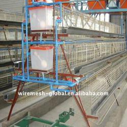 chicken farming eggs breeding cage