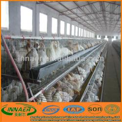 Chicken laying cage for sale (manufacturer, sell12@innaer.com)