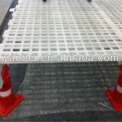 Chicken Plastic Slat Floor