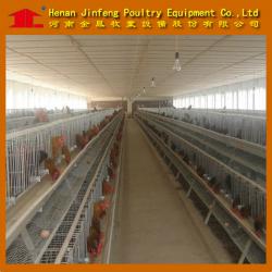 chicken poultry cage