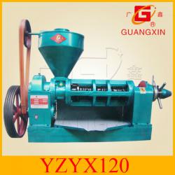 China hot sale sunflower oil cold pressing machine