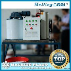 China Sea water ice maker 1500kg/day for fishing