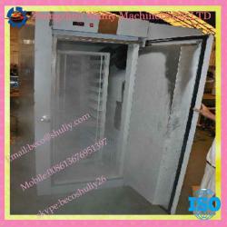 Chinese hot selling food freezer/food freezing machine//008613676951397