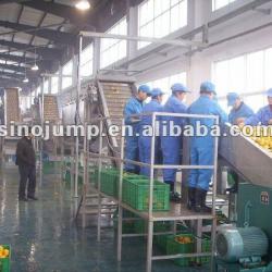 Citrus Fruits Processing line