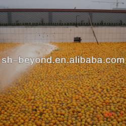 citrus juice processing line orange juice processing equipment