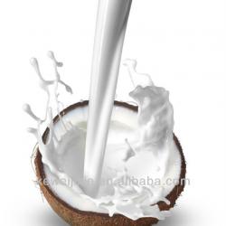 Coconut milk making machine