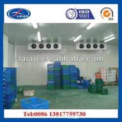 cold room ( cold storage room,walk in freezer,chiller room,cooling room )