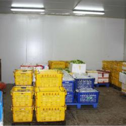 Cold Storage Room For Vegetables, Fruit And Meat