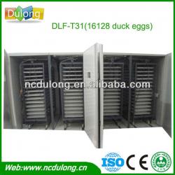 Competitive price DLF-T31 hold 22528 chicken eggs incubator