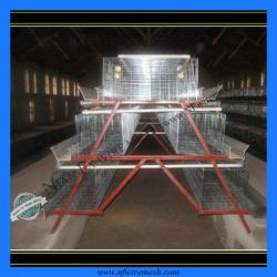 Competitive Product Chicken Cage Net(Guangzhou)