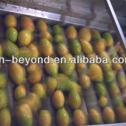 complete set of mango processing line