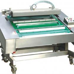 Continuous Vacuum Packaging Machine