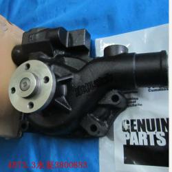 Cummins 4BT3.3 3800883 water pump