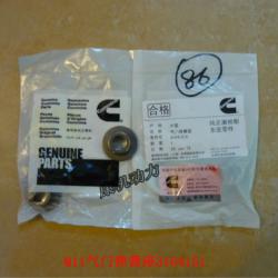 Cummins M11 3104151 Valve spring seat