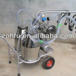 Dairy Cow Milking Equipment