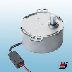 DC 3V Synchronous Motor