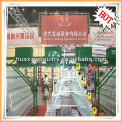 direct manufacturer in Henan chicken egg poultry farm