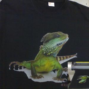 direct t-shirt printer/ popular t-shirt printer