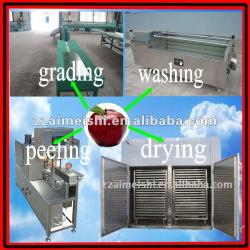 dried fruit processing machine/apple dried chips drying line/0086-13838347135