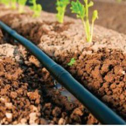 drip irrigation