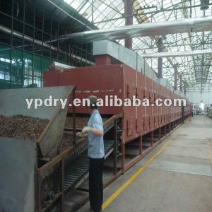 DWT Dryer For Vegetable Dehydration /machinefor garlic