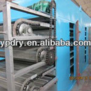 DWT Multi-layer conveyer drying machine/Vegetable Dehydration Dryer for lemon/belt dryer