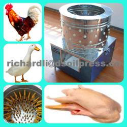 Efficient chicken plucker from manufacturer in Henan