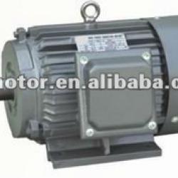 electric motor