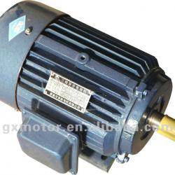 electric motor