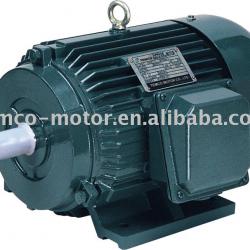 ELECTRIC MOTOR