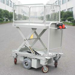 Electric Motorcycle Scissor Lift Table With One Cylinder & Wire Fence