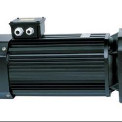 electric shaft motor