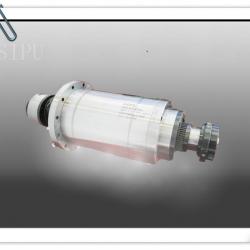 Electric Turning Spindle Motor