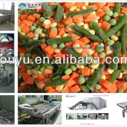 Excellent Vegetable Quick Freezing Line QFVM-014 Vegetable Slicing Machine Vegetable Processing Machinery