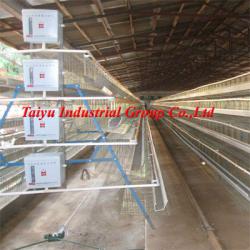 Export Standard Poultry Battery cage ( 20 years using no rust )