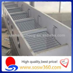 Factory Produce Animal Cages / Pigeons Cages / Low price