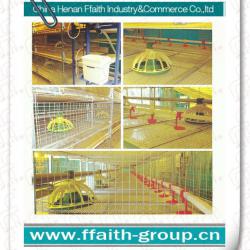 farm use H type chicken layer cages