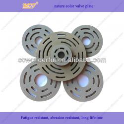 Fatigue resistant PEEK compressor valve plate