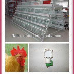 Ffaith- group automatic chicken layer cage