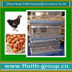 FFaith-group chicken poultry farm equipment