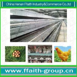 FFaith-group hot sale poultry cage for layer chicken