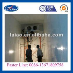 fish blast freezer