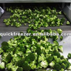 Fluidized freezer IQF fruit vegetable freezer