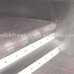 Fluidized Tunnel Freezer /deep freezer