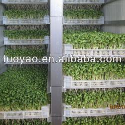 Fodder Sprouting System For Feed Livestock in China