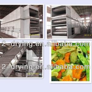 Foods factory machine