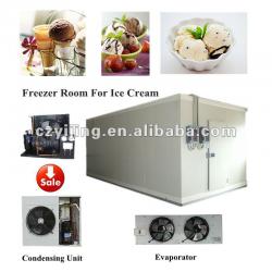 Freezer Room For Ice Cream