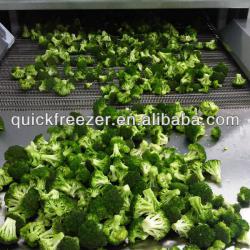 frozen fruit and vegetables machine tunnel freezer